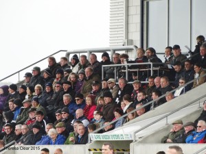 spot yourself play off final crowd pic7