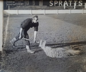 pic from the past Groundsman Vic Myers works on the pitch