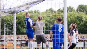 Wills Property Services to sponsor Nuneaton home game