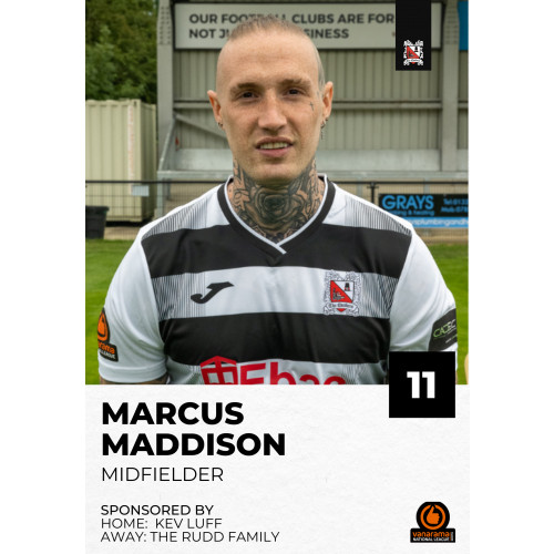 Marcus Maddison