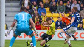 Bradley Williams returns to Harrogate